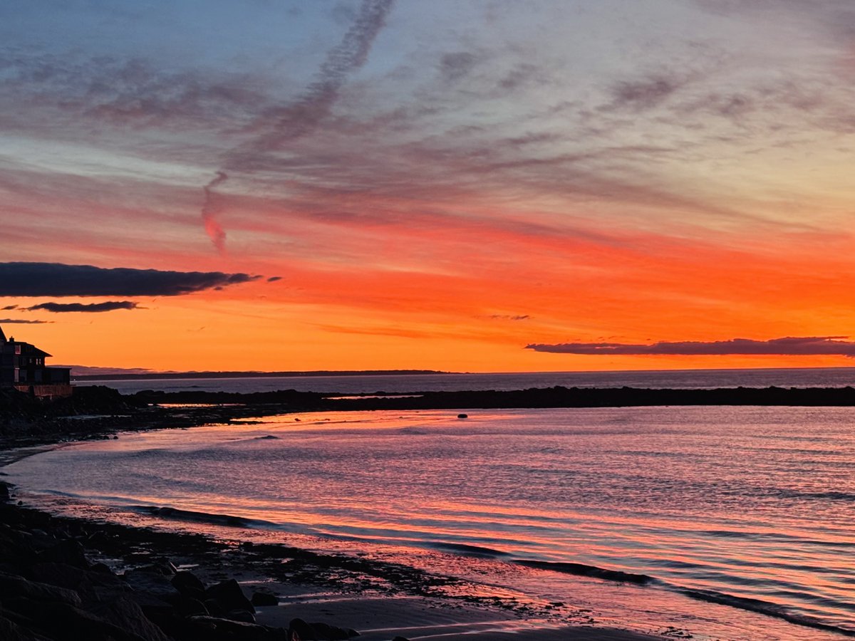 Realtor Rick 💙 tweet media