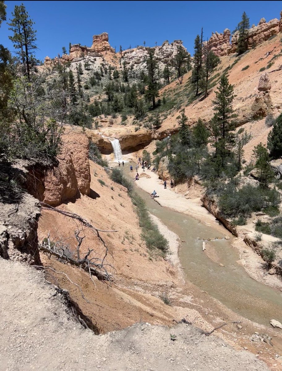 Derek Fauth tweet media