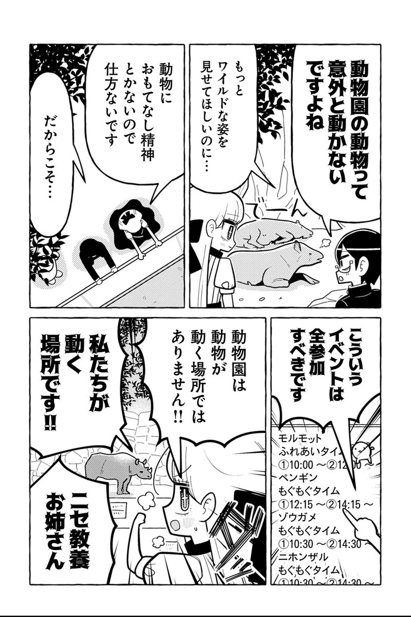 ツイ４ tweet media