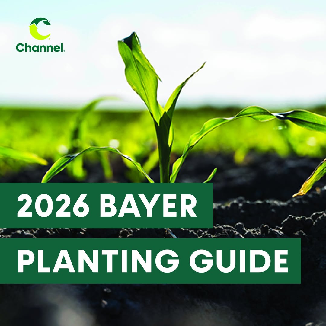 performanceagin's tweet photo. 🌱 Ready to elevate your planting game? Discover expert tips and insights to maximize your crop yield this season! Check out the 2026 planting guide and get ready to be All In All Season. https://t.co/ueguOERIT3 https://t.co/dpZfolIabN