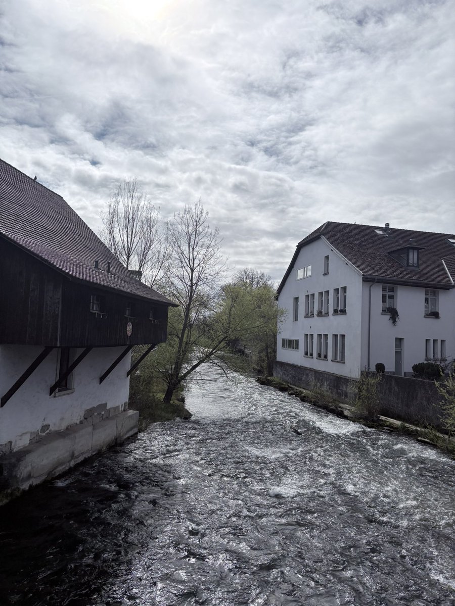 𝐑𝐨𝐨𝐟𝐭𝐨𝐩☀️✈️ tweet media