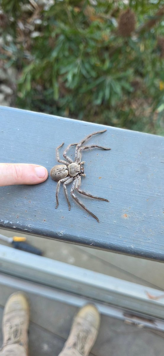 Hardware Unboxed tweet media