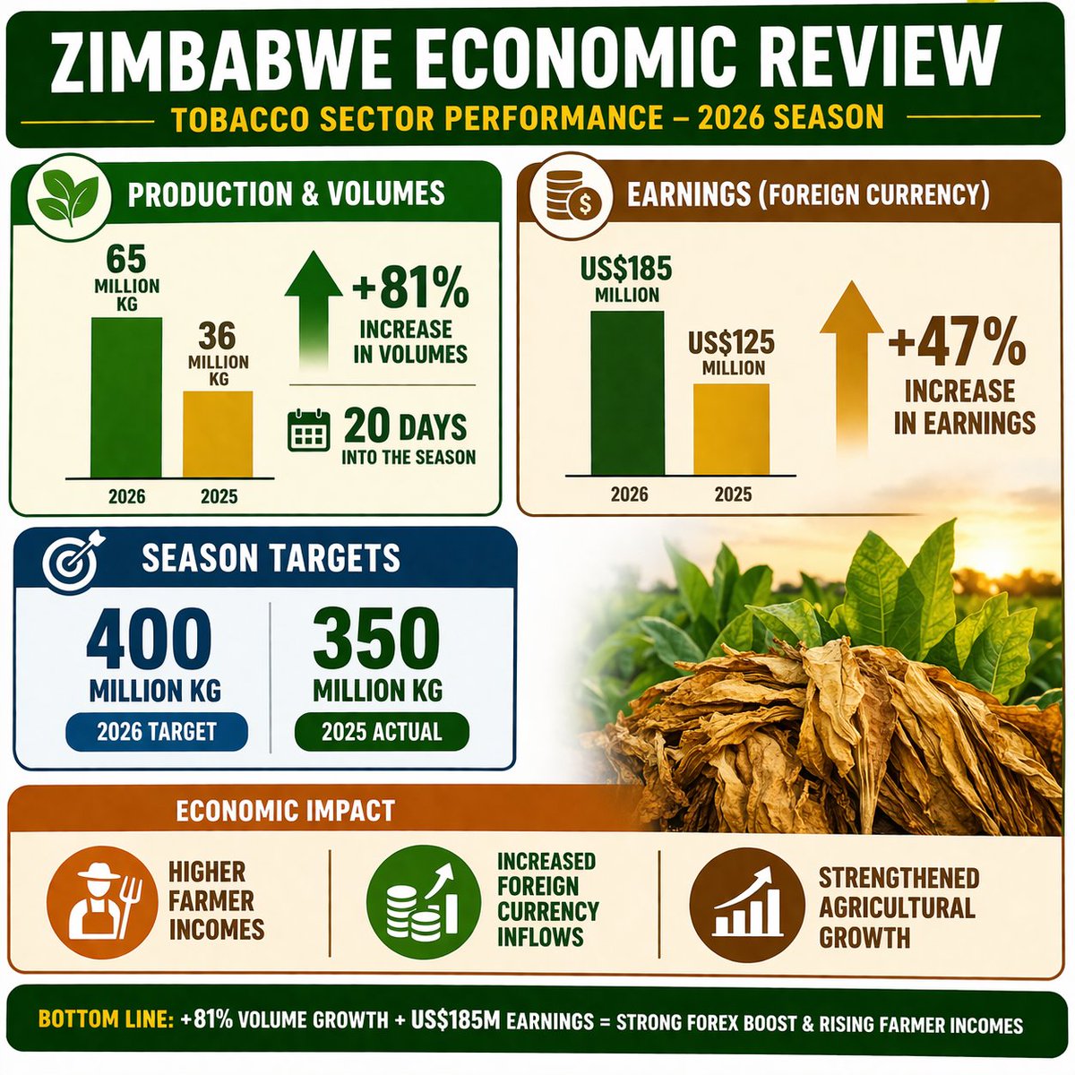 Zimbabwe Economic Review tweet media