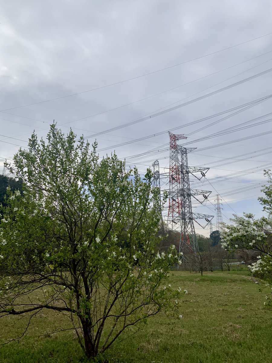 常吉（ツネキチ）🎣 tweet media