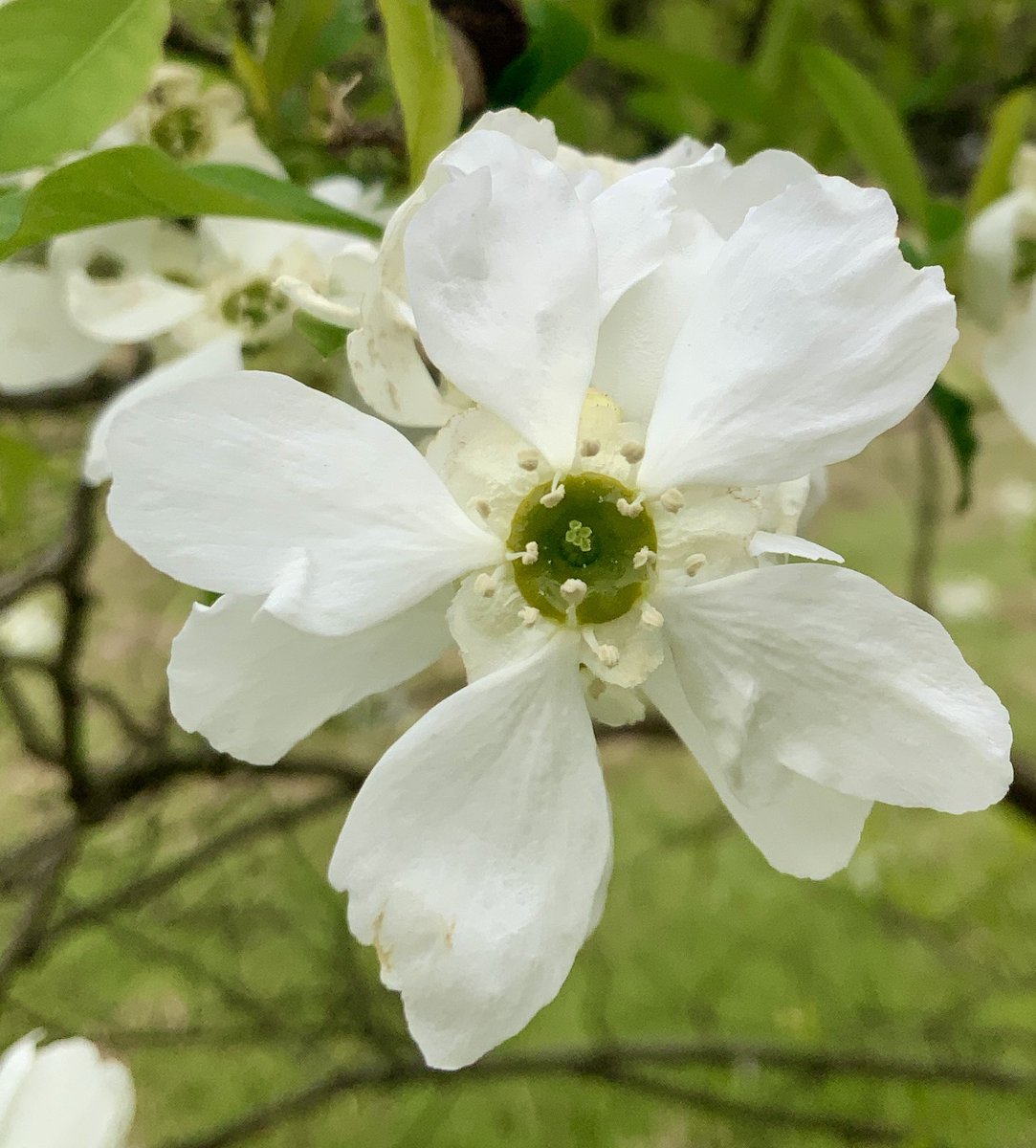 常吉（ツネキチ）🎣 tweet media