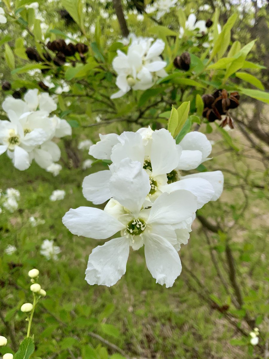 常吉（ツネキチ）🎣 tweet media