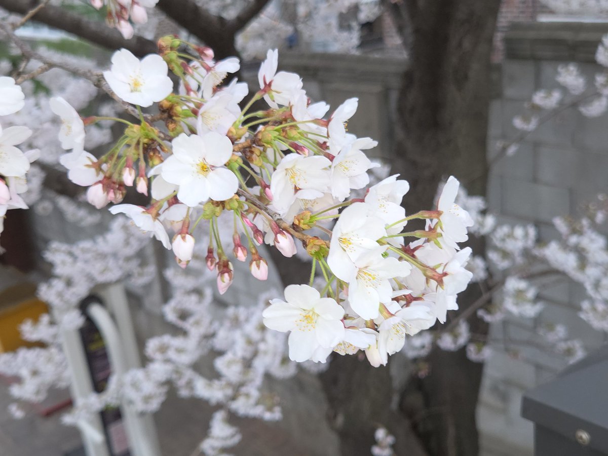 부비밤 tweet media