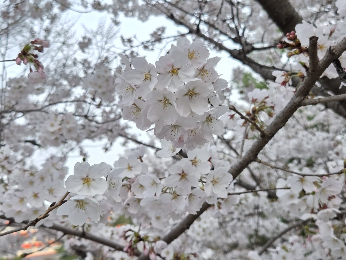 부비밤 tweet media