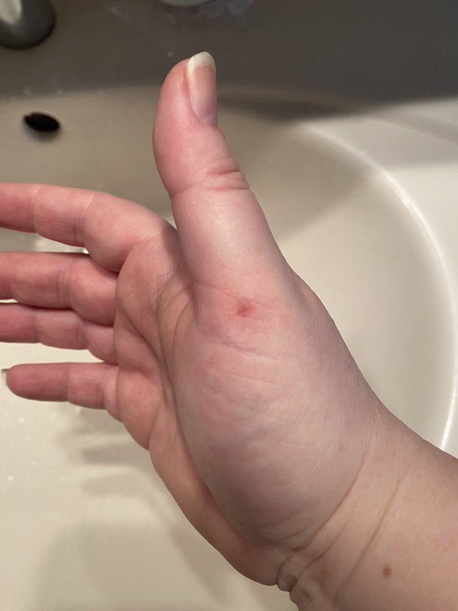 Wortgestalten tweet media