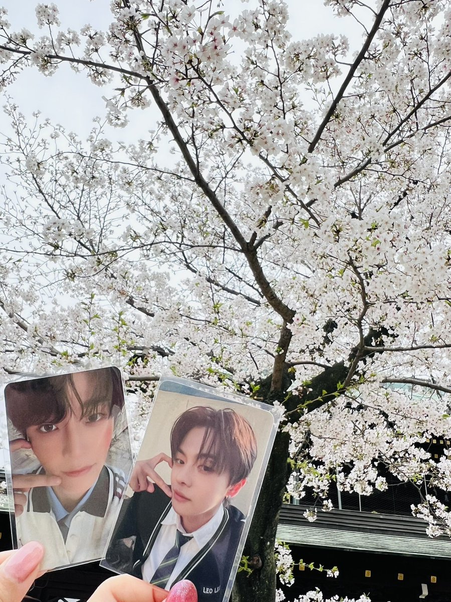 𝚈𝚄 tweet media