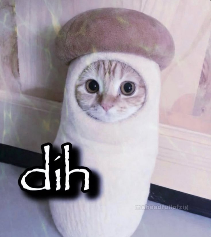 ✨Speakeasy✨🔜LVFC tweet media