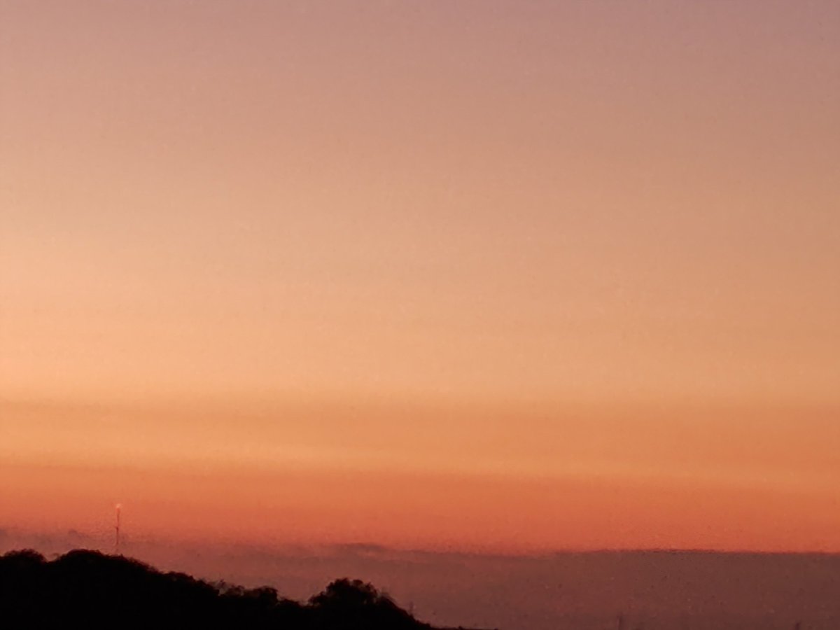 すざく⭐ tweet media