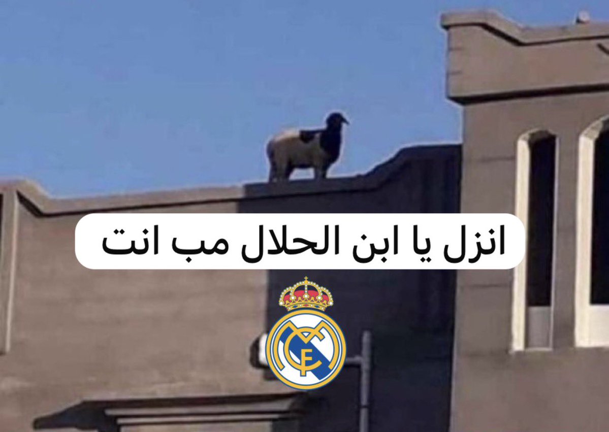 صالح tweet media