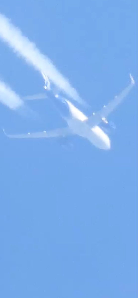 Wonderful And Weird Angela Harte tweet media