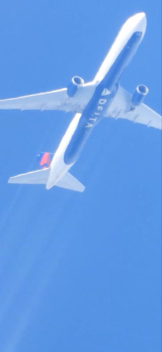 Wonderful And Weird Angela Harte tweet media