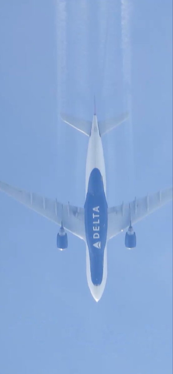 Wonderful And Weird Angela Harte tweet media