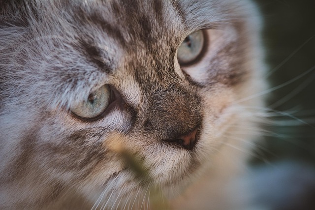 Julie Beninati tweet media