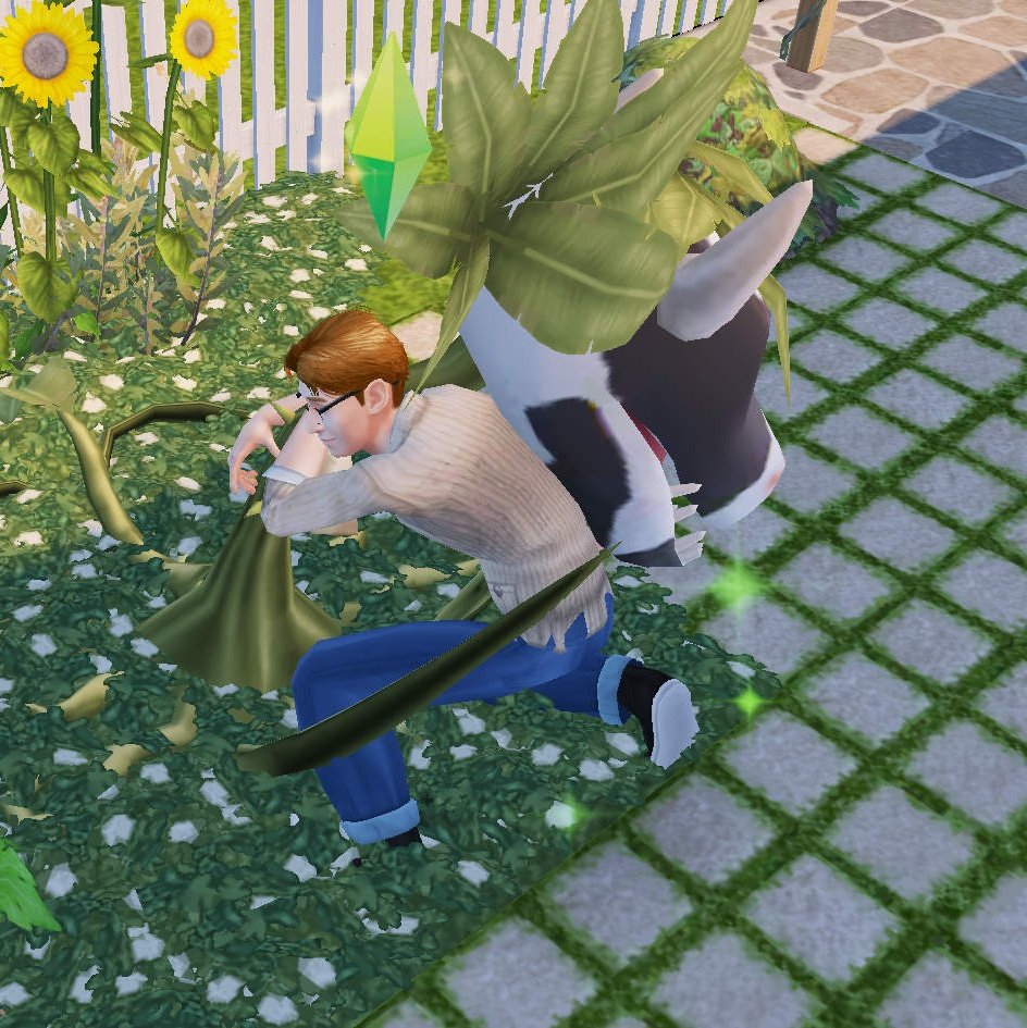 𝙳𝚊𝚟𝚒𝚍 🗃 tweet media