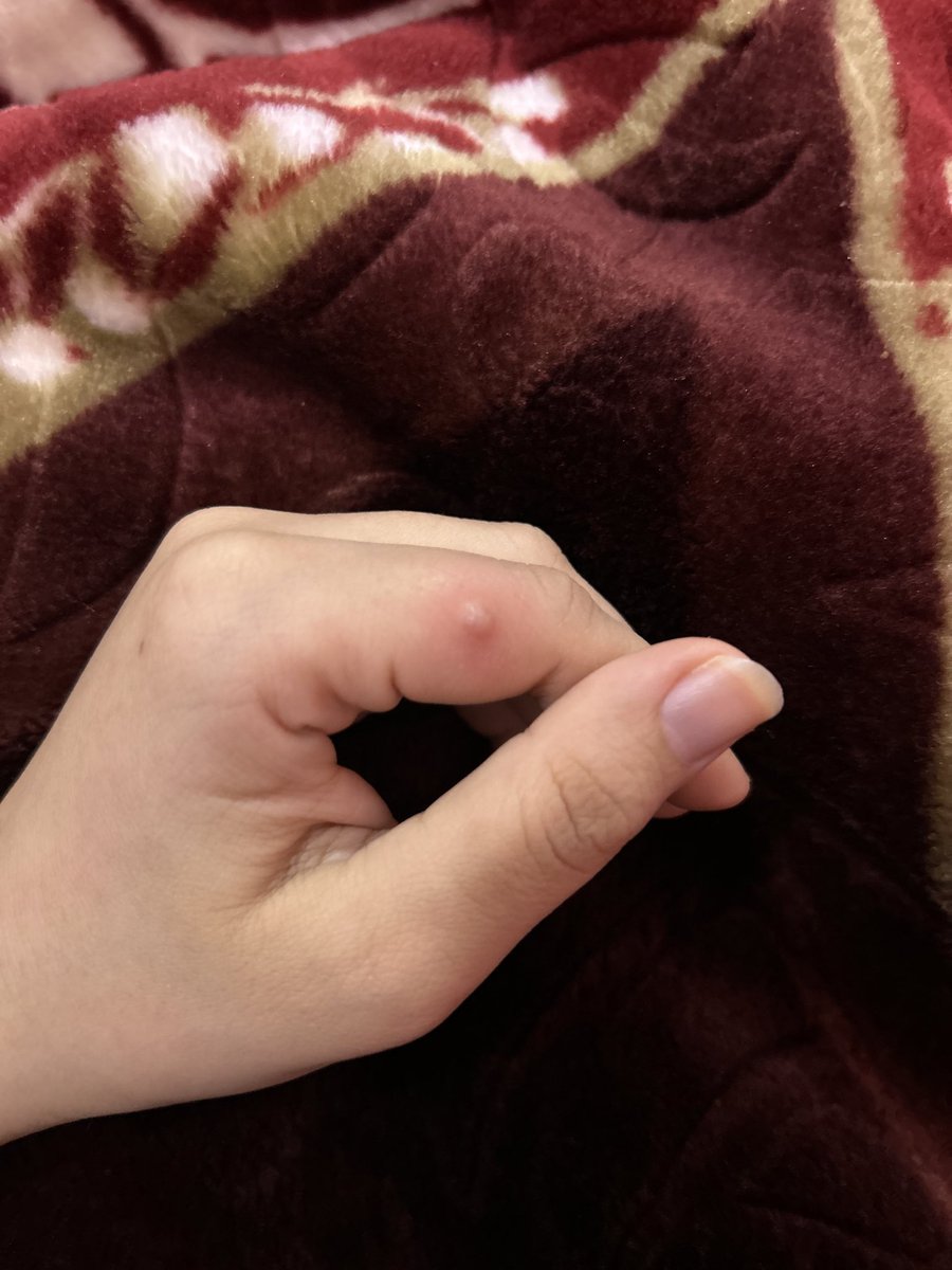 روفيدا🧋 tweet media