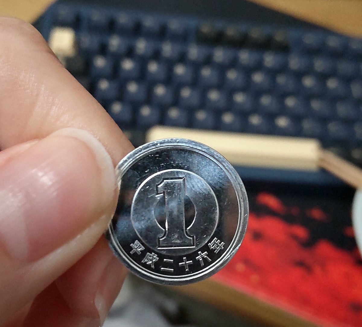 猫。田中 tweet media