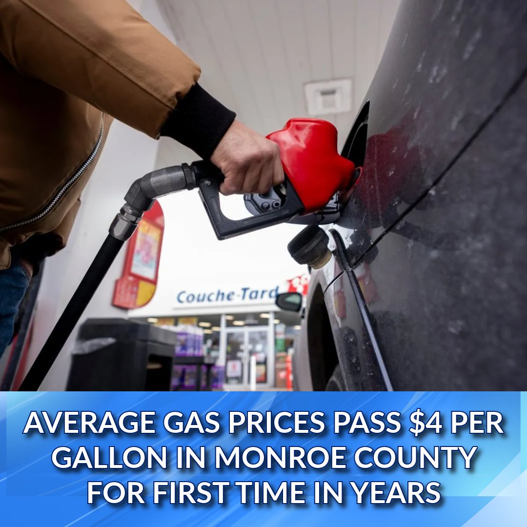 News 8 WROC tweet media