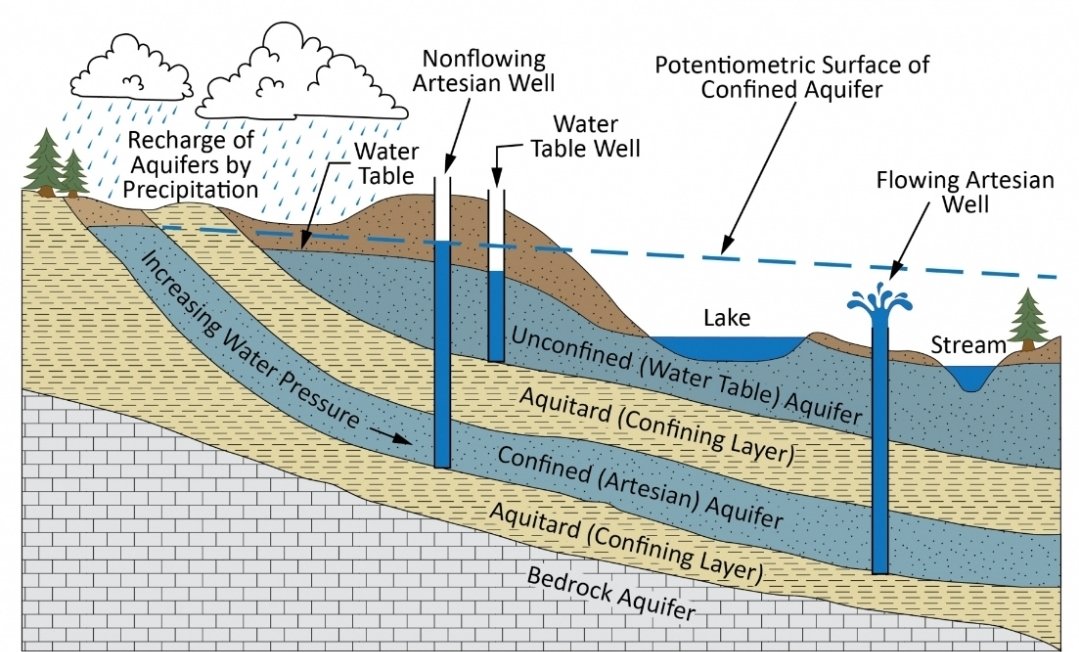Solongo 💛💙 tweet media