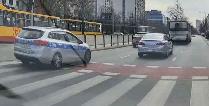 MangustaZtropikow tweet media