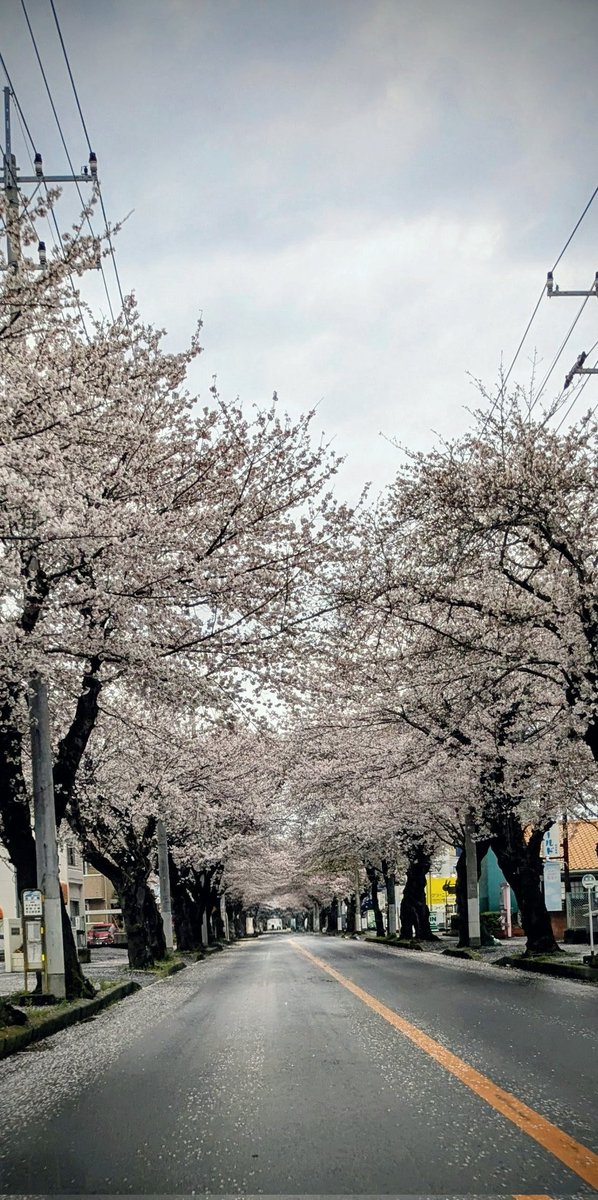 ul DERI co 314 (DERI ! ) tweet media