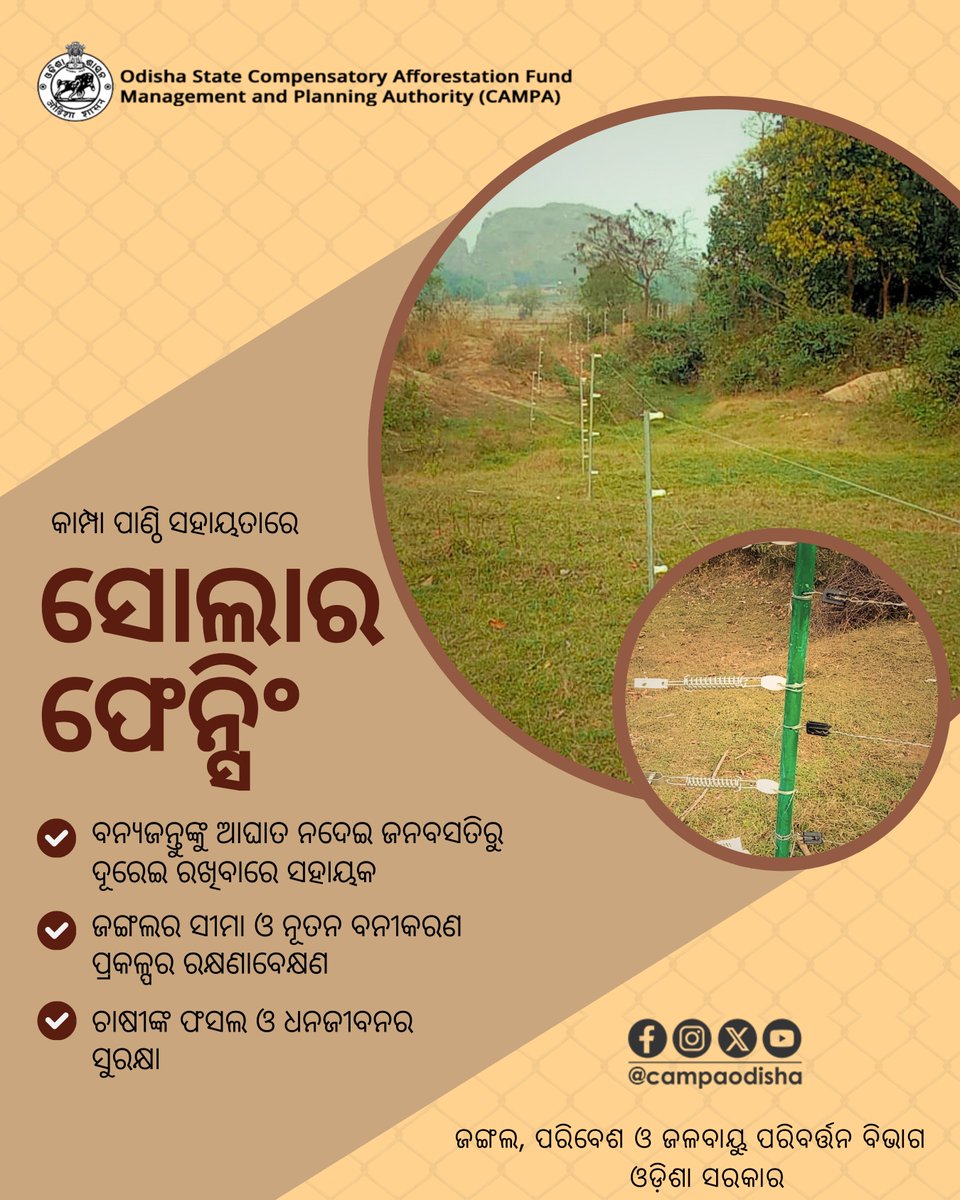 CAMPA ODISHA tweet media