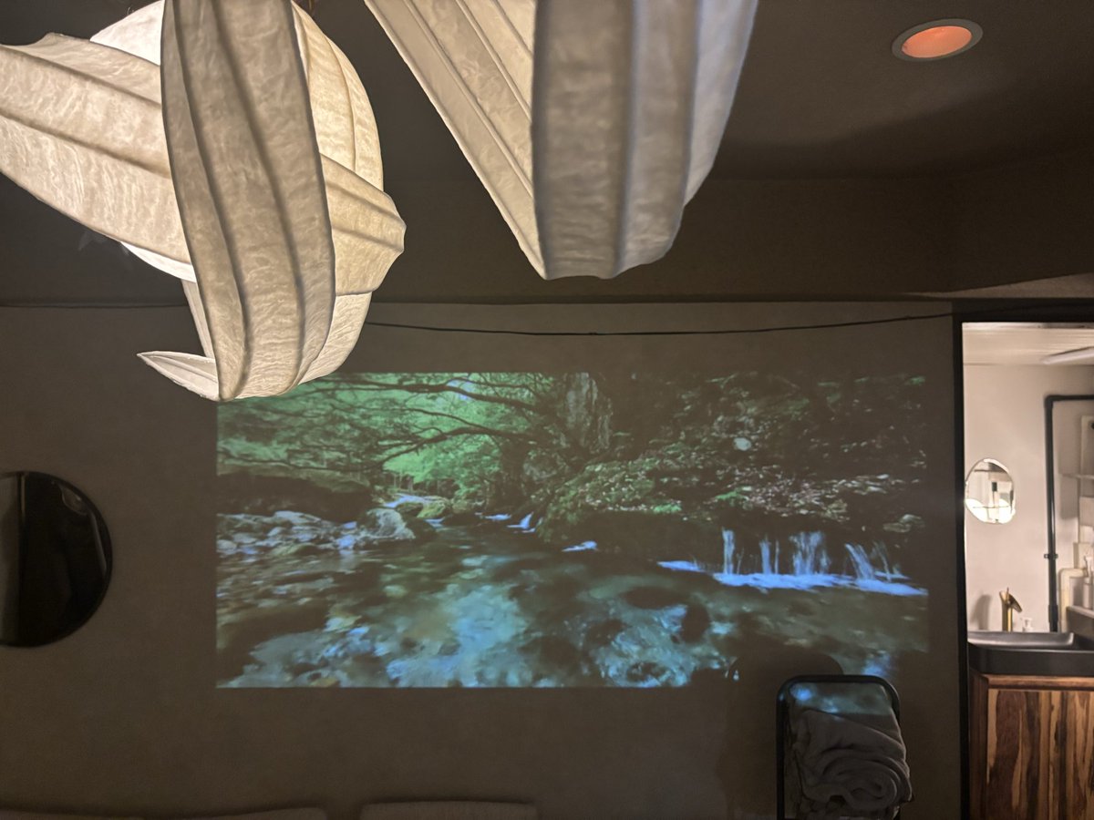 猫奈落 tweet media