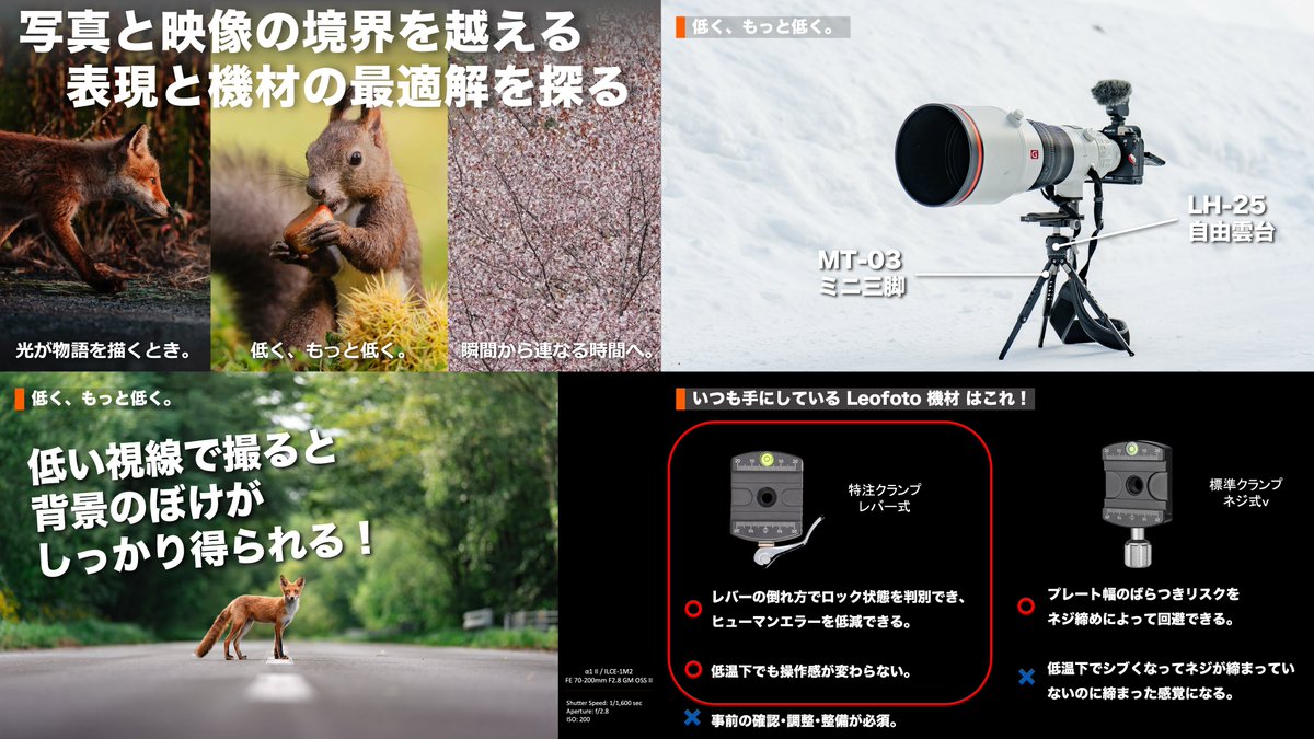 Hiroki INOUE | 写真家 井上浩輝 tweet media