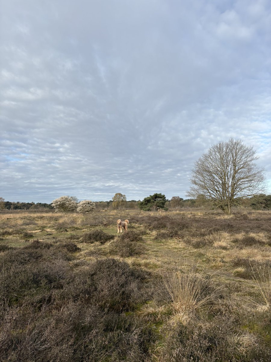 Stephan van Huis tweet media