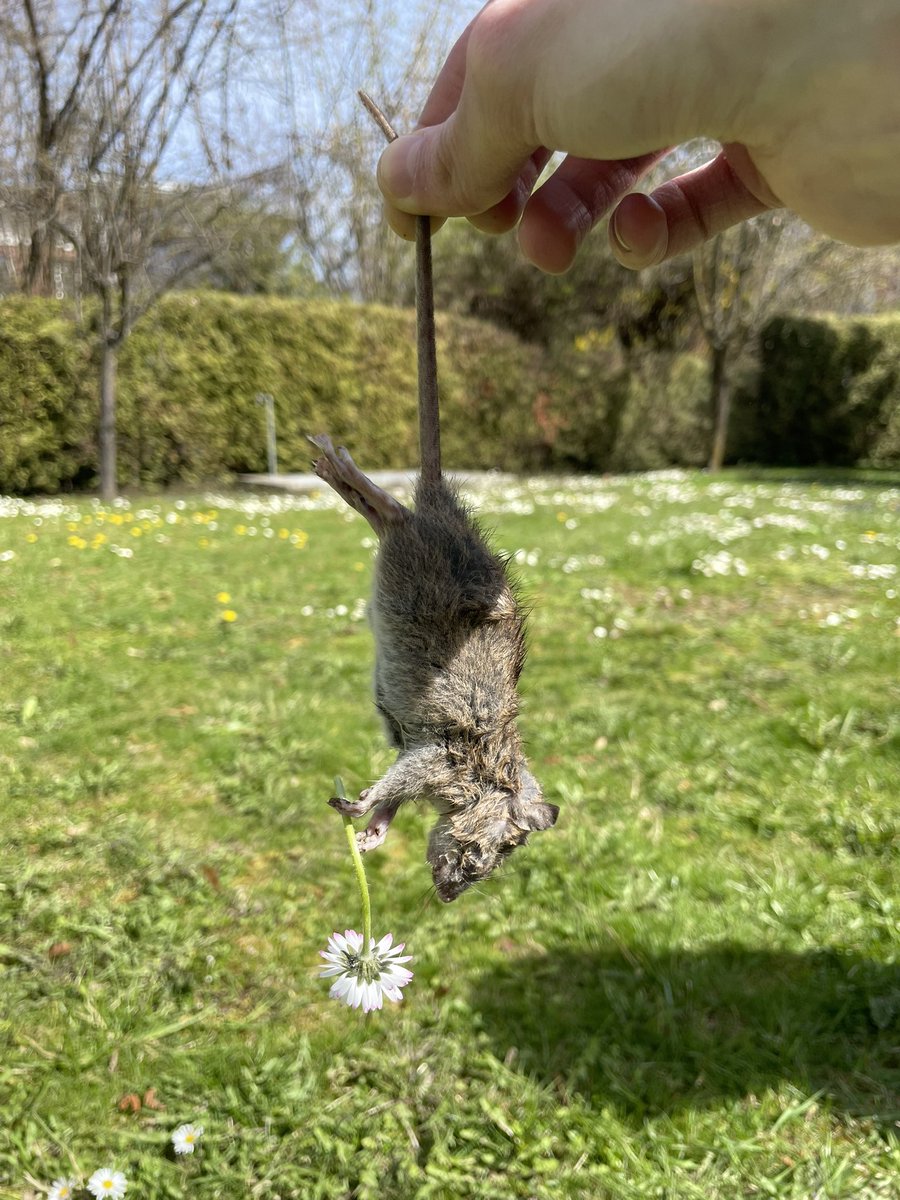 Ina edtwt tweet media