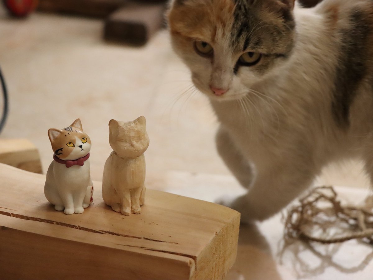  Treeshe 𐂂 tweet media