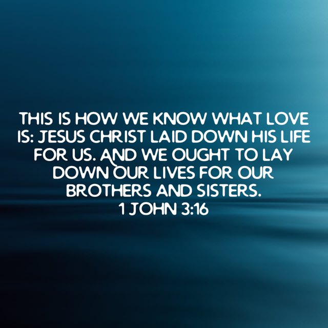 Jeff Prince tweet media