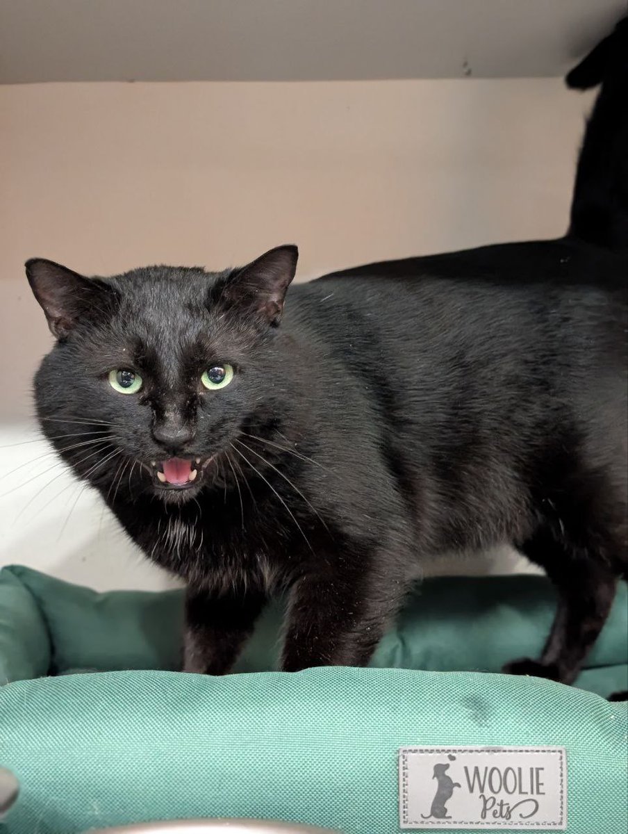 𝓦𝓲𝓷𝔂𝓪 tweet media