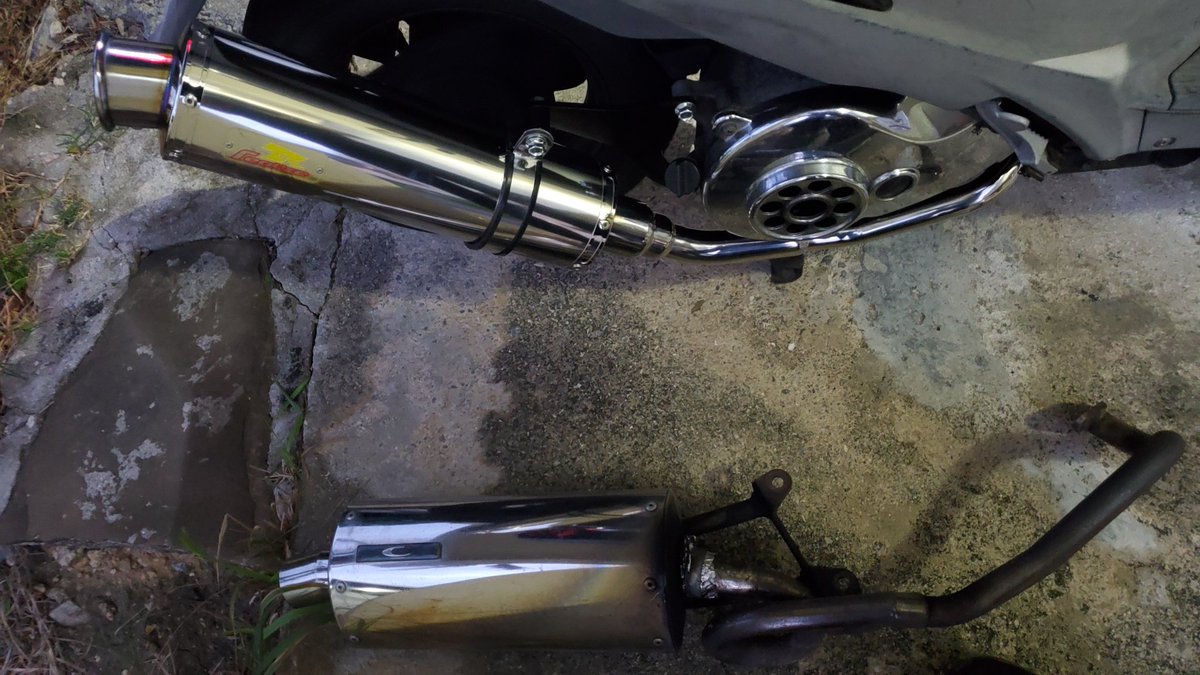 琉球パンダ tweet media