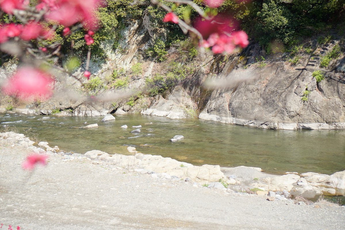 ジョージ参謀 tweet media