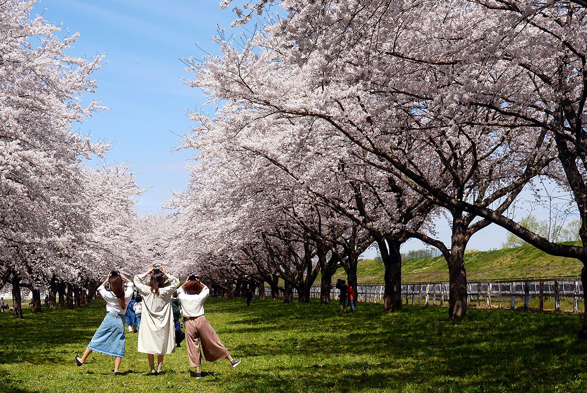 奥州市観光物産協会 tweet media