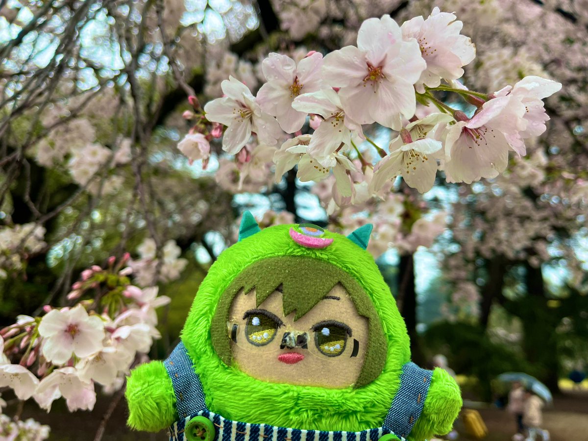 ひーこ😁 tweet media