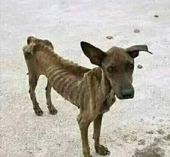 PointofView tweet media