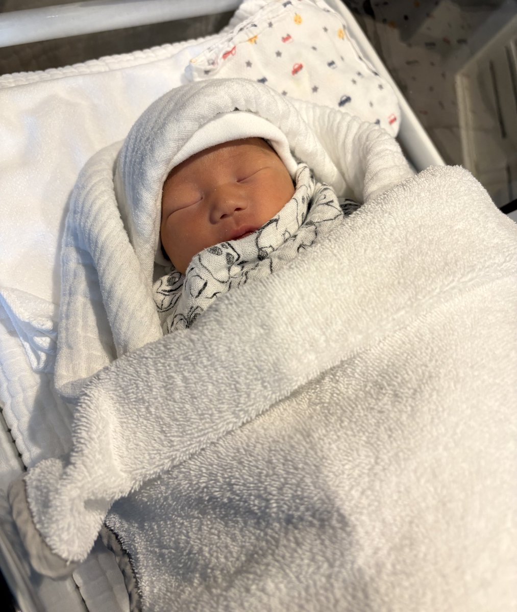 おはな🧸1y tweet media