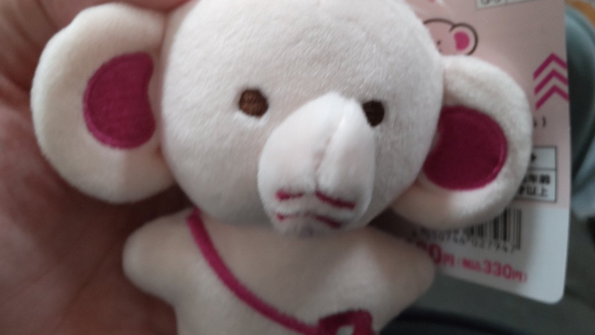 でかたぬ tweet media