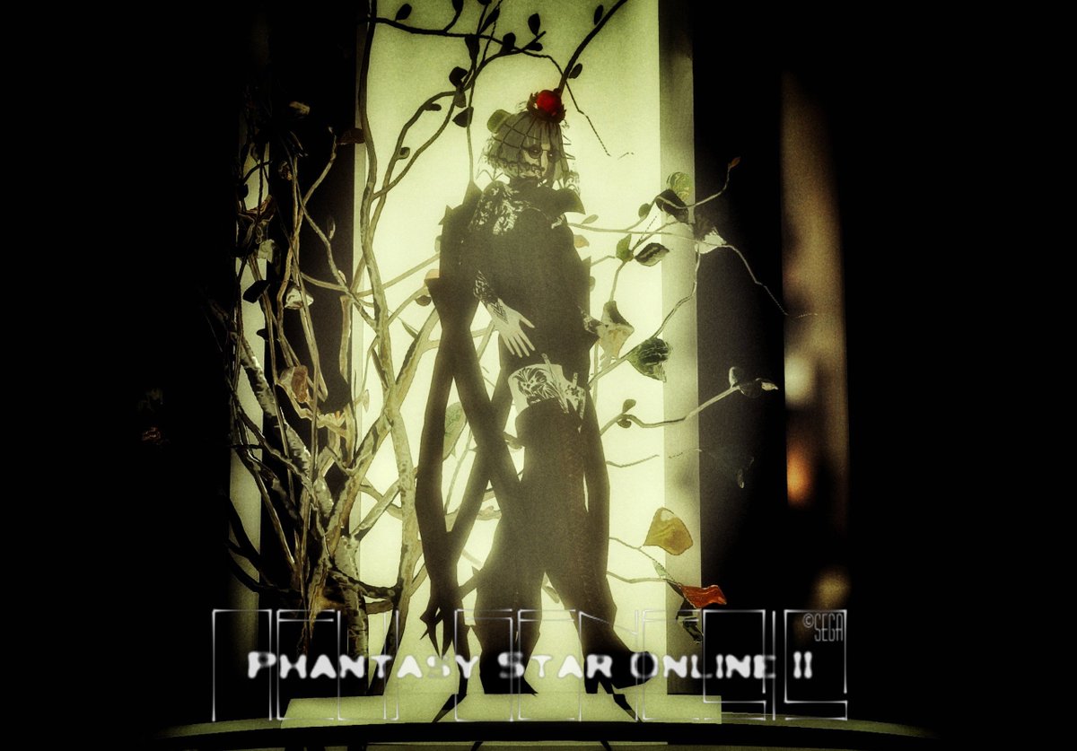 人間を被る tweet media