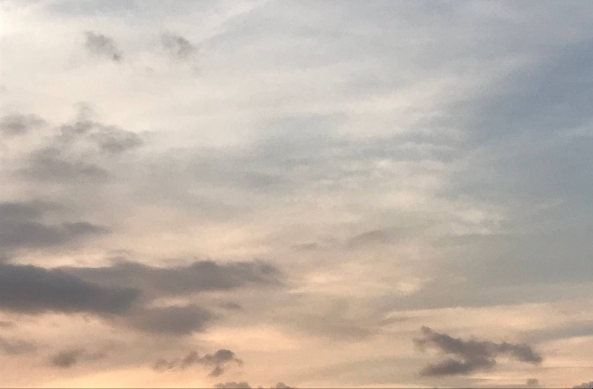 arasyuuu ˚｡⋆𝜗𝜚˚~ tweet media