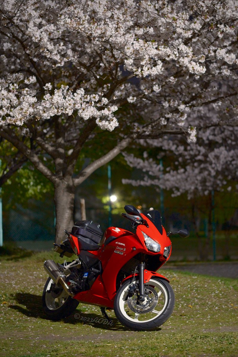 あおだ tweet media