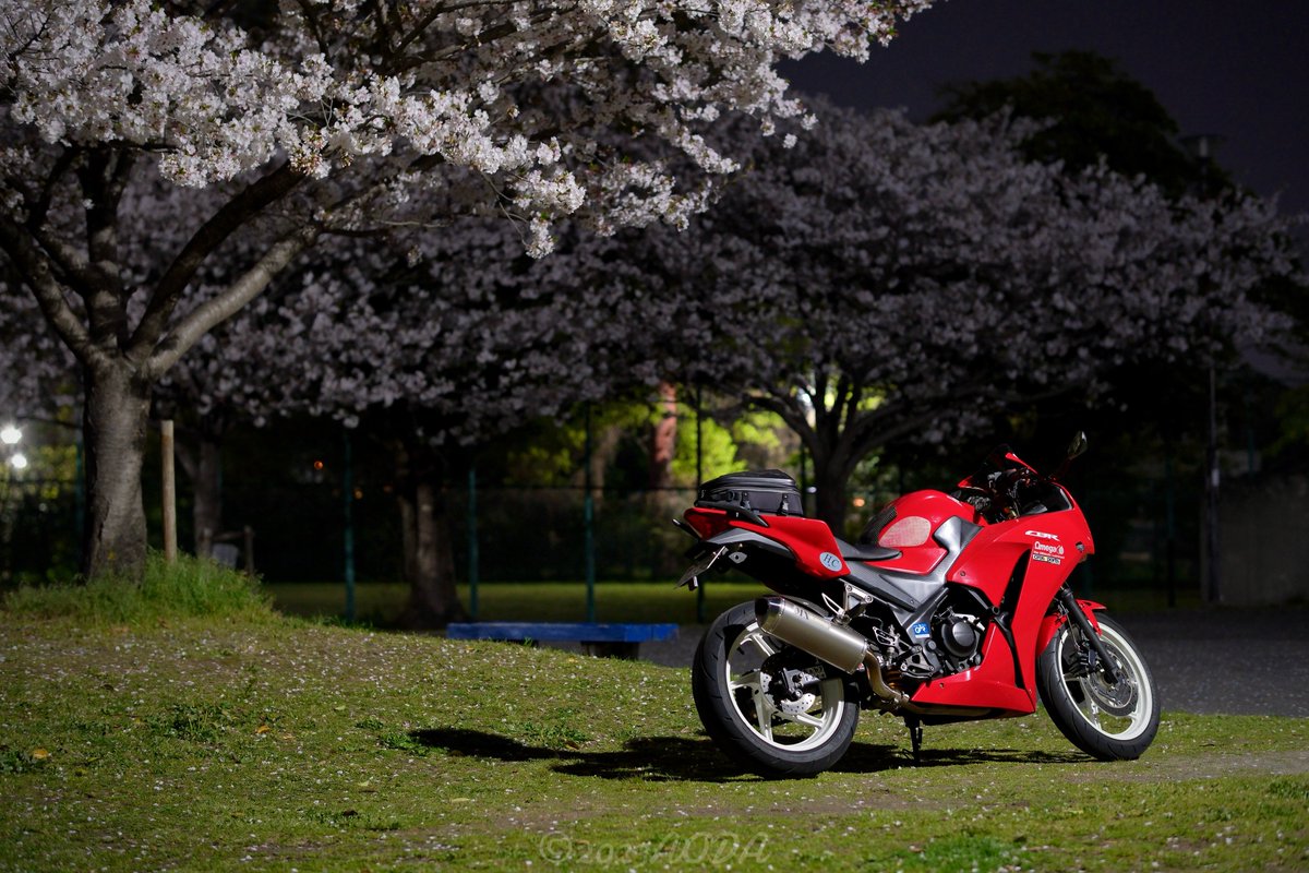 あおだ tweet media