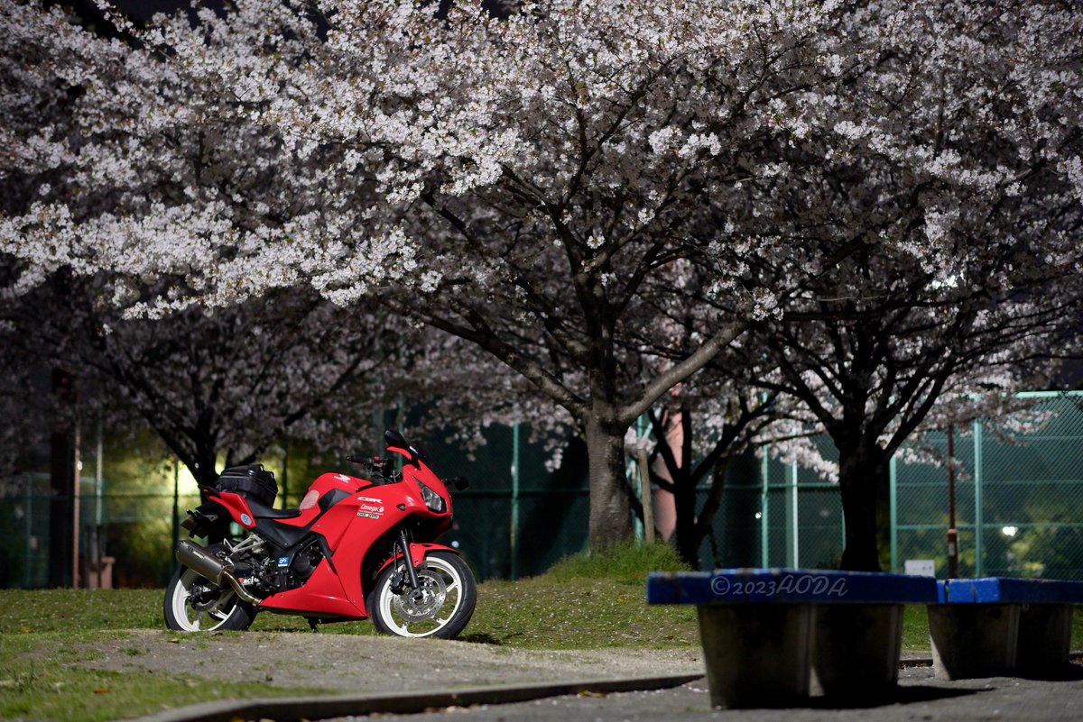 あおだ tweet media