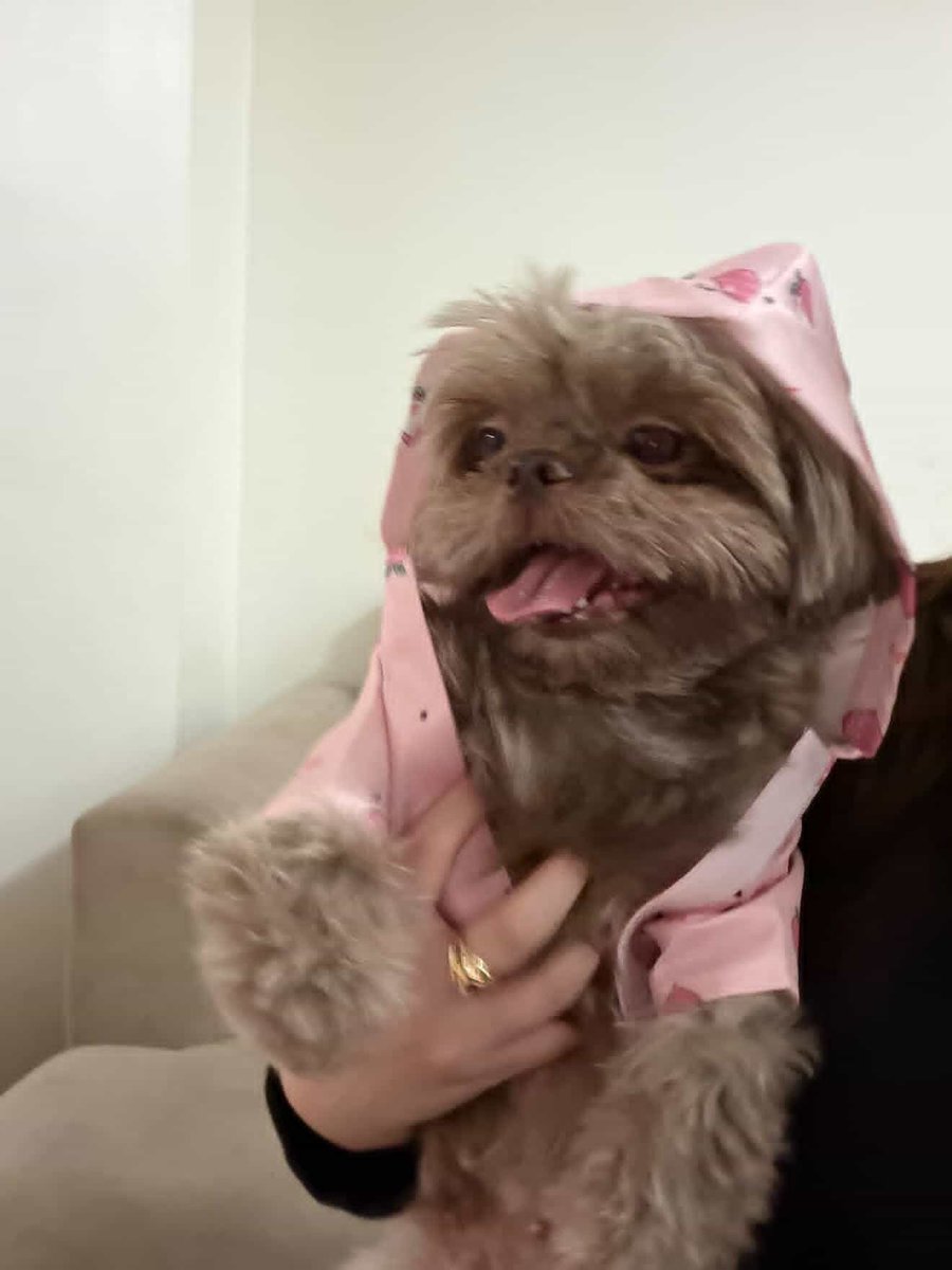 talmejes's tweet image. cutie tari 🤏🏻