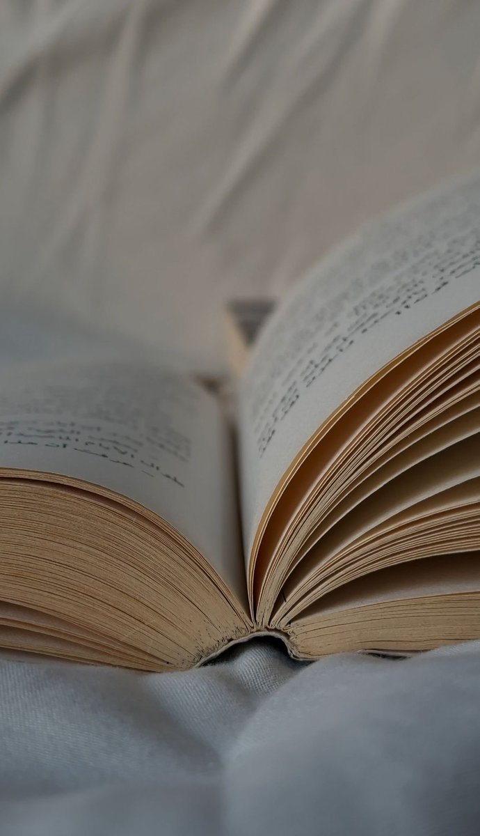 lisa ⚯͛ tweet media